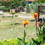 Rossa Villa Mesimvria (Evros)