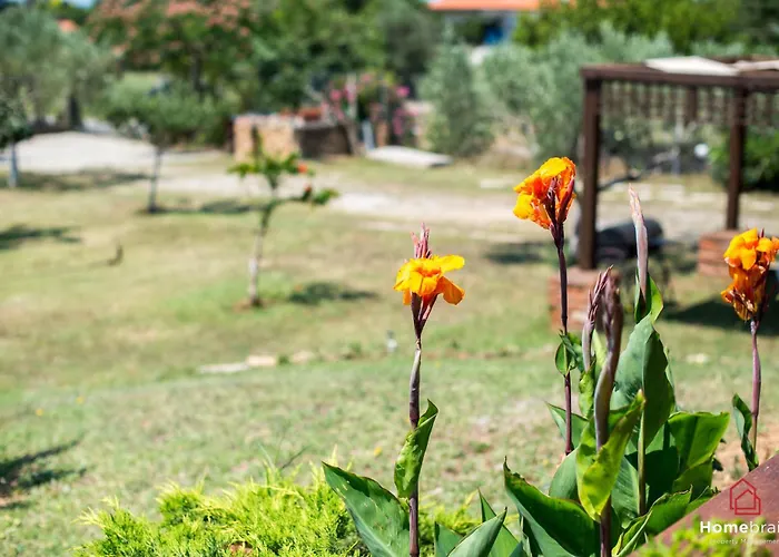 Rossa Villa Mesimvria (Evros)